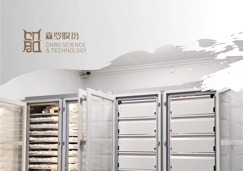 《森羅萬(wàn)象》，萬(wàn)象包羅第14問(wèn)