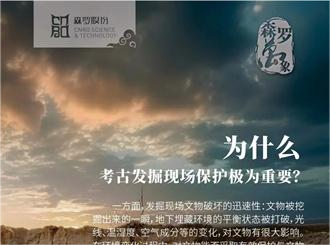 《森羅萬象》，萬象包羅第81問 