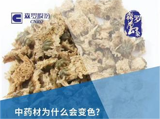 《森羅萬象》，萬象包羅 第2問