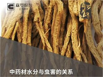 《森羅萬象》，萬象包羅 第3問